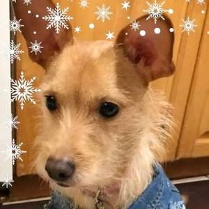 Meet your Posher, Barbara